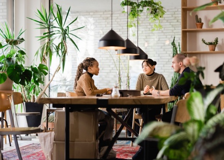 Three coworkers in a lush meeting space. 