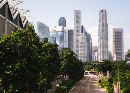 Trees on sidewalk poke through skyline in Singapore.
