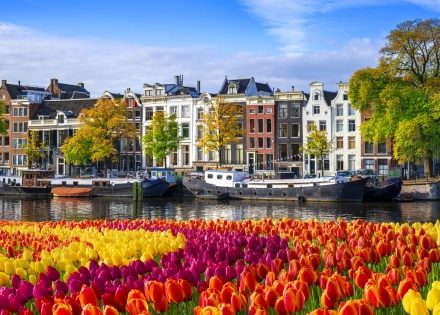 View of Amsterdam Netherlands across a canal with tulips in the foreground