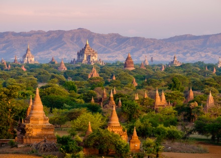 Aerial view of Bagan temples piercing the jungle canopy in Myanmar