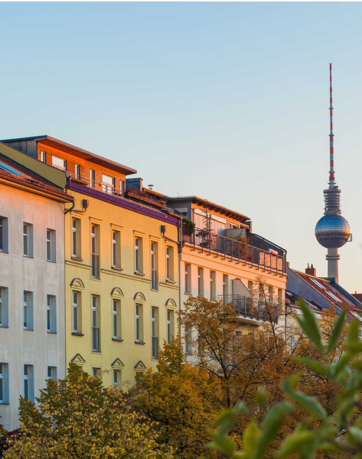Tall apartment buildings with trees in foreground