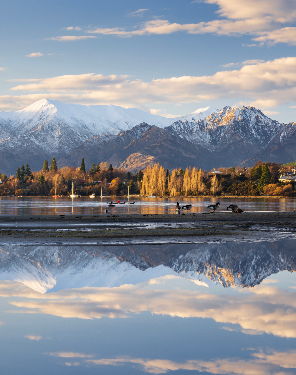 Scenic view of New Zealand