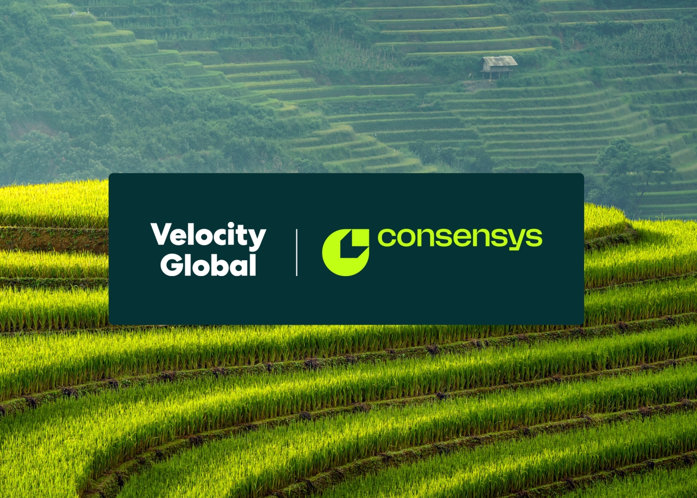 Pebl and Consensys
