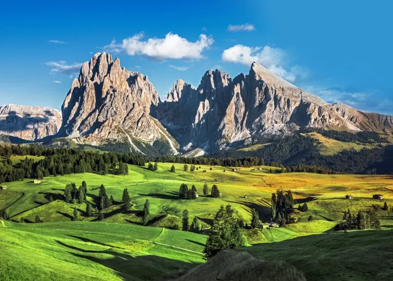 shutterstock_1729115314_2940x2100.jpg