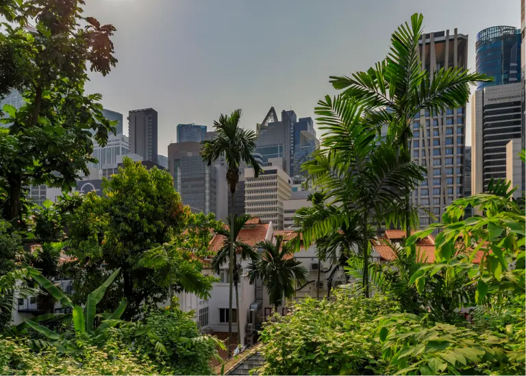 Singapore Work Visas A Complete Guide for Global Employers.png