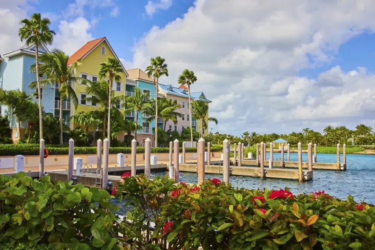 Waterfront-Dock-with-Pastel-Buildings-and-Palms-Bahamas (1).jpg