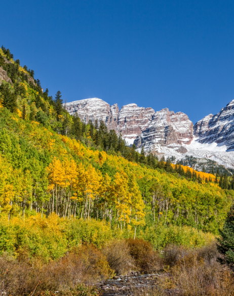 snow covered mountains with yellow and green aspens