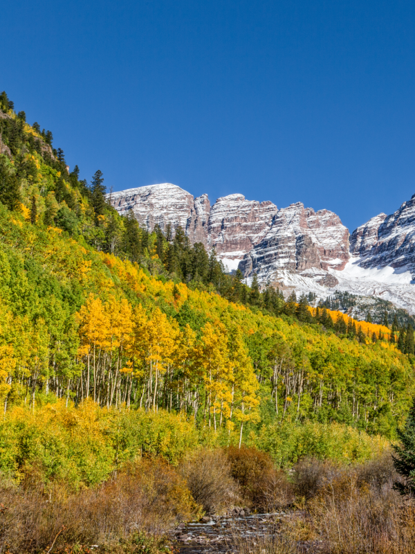snow covered mountains with yellow and green aspens