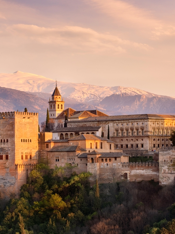 effortless global transition