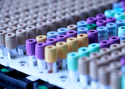 Resource Center - Transnetyx Case Study