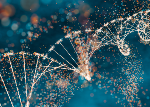 Blurred out colored light spots on dark background