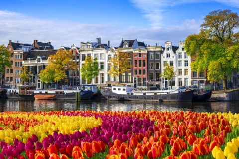 View of Amsterdam Netherlands across a canal with tulips in the foreground