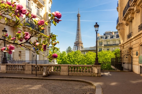 Eiffel Tower and streets of Paris, France, during springtime