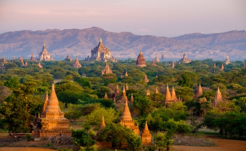 Aerial view of Bagan temples piercing the jungle canopy in Myanmar